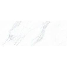 Panel B Statuario